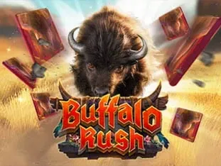 Buffalo Rush game cover